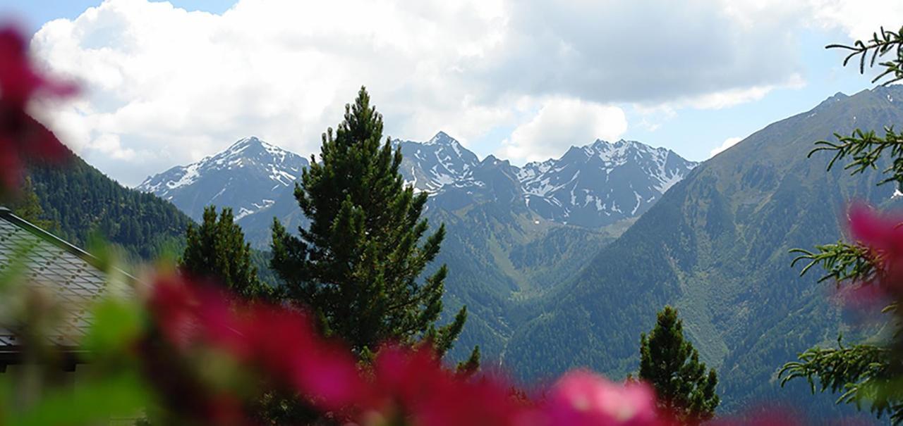 Ferienwohnung 4 Personen Alleinlage Am Wald Naehe Skigebiet Hochzeiger 耶岑斯 外观 照片